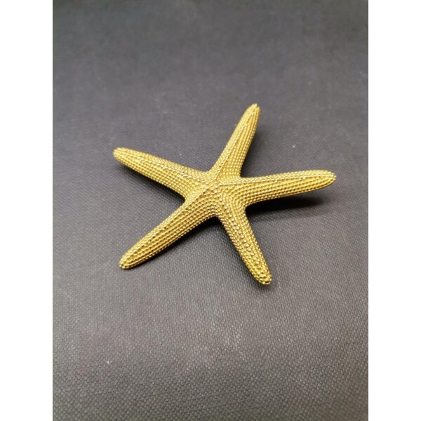 Broche Etoile de mer